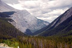 14-S Cirrus Mountain In Summer From Near Big Bend On Icefields Parkway
